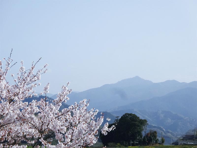 山