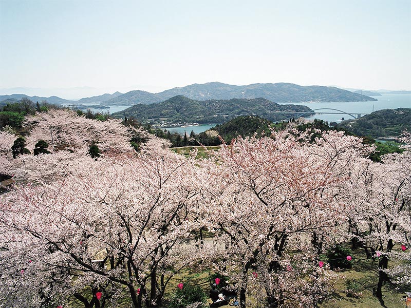 開山から