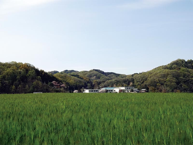 玉川の様子