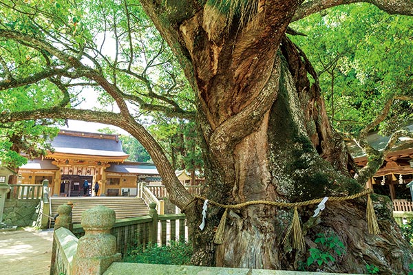 大山祇神社